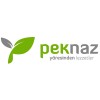 Peknaz